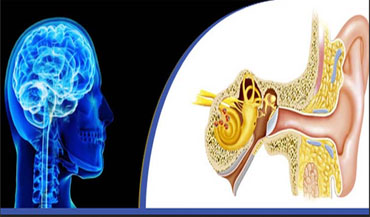 Otology and Neurotology Health Services