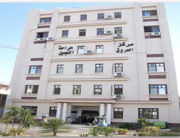 The Burns and Plastic Surgery Center is the first specialized center in the middle of the Delta and serves many governorates