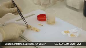أقسام وخدمات مركز أبحاث التجارب الطبية 