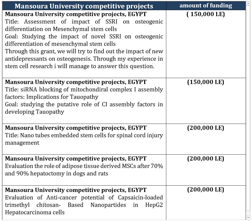 Mansoura University Competitive Projects