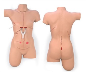 WhatsApp Image 2025 11 06 at 121931 AM