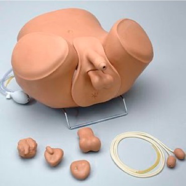 WhatsApp Image 2025 11 06 at 121931 AM 1