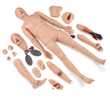 نماذج التدريب