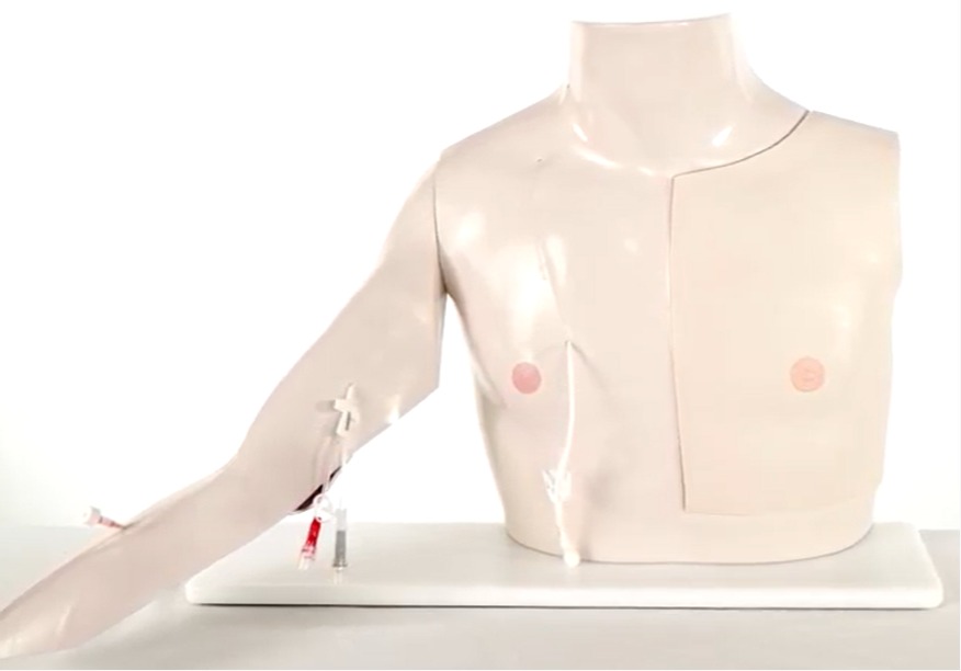 WhatsApp Image 2025 11 06 at 121936 AM