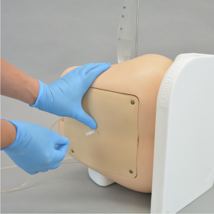 WhatsApp Image 2025 11 06 at 121936 AM 1