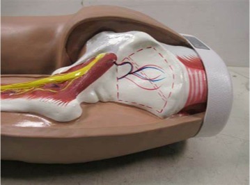 WhatsApp Image 2025 11 06 at 121937 AM