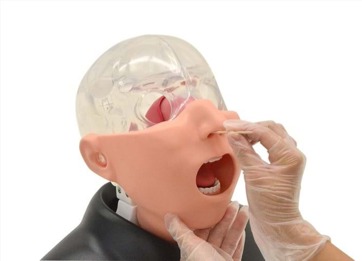 WhatsApp Image 2025 11 06 at 121938 AM