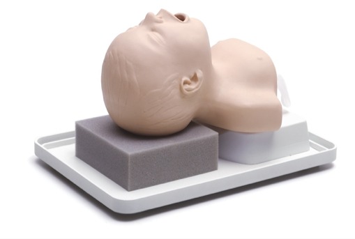 WhatsApp Image 2025 11 06 at 121939 AM