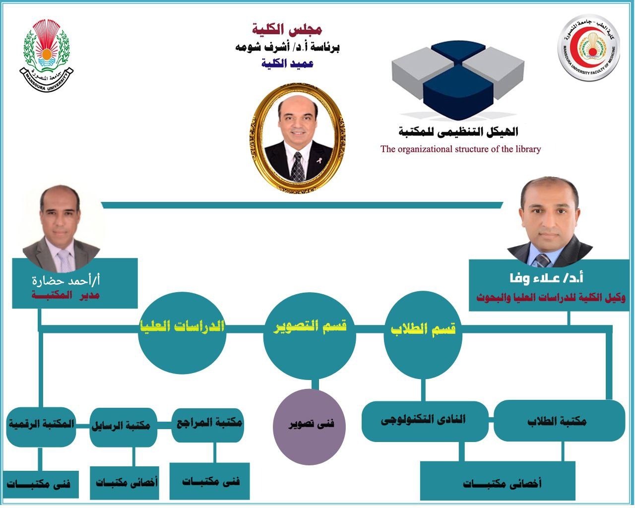 الهيكل التنظيمي 