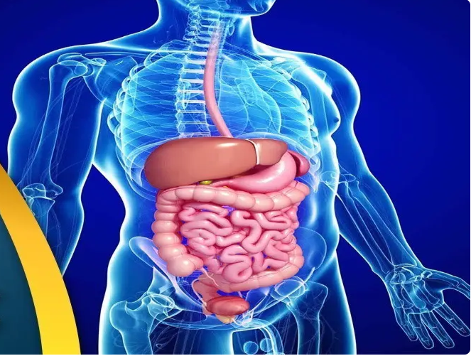 مناظيرالجهاز الهضمى العلوي والسفلي