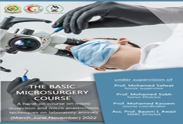 THE BASIC MICROSURGERY COURSE MARCH 2022