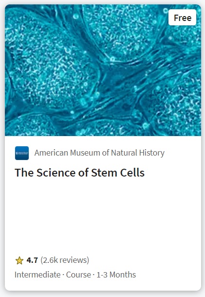 course 10 stem cells