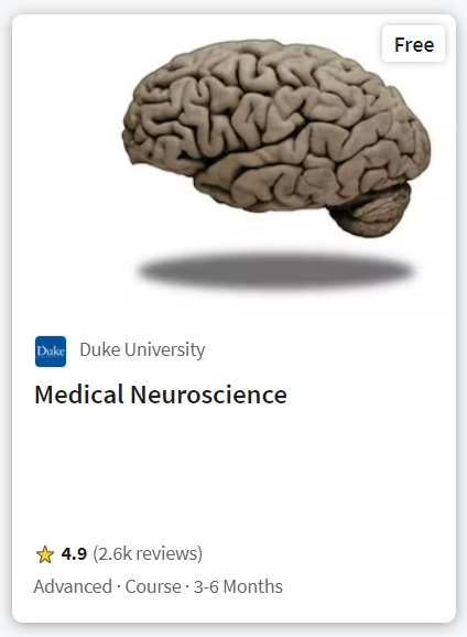 course 3 neuro