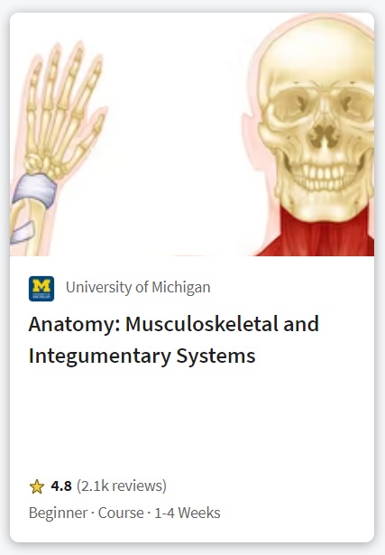 course 8 anatomy MSK
