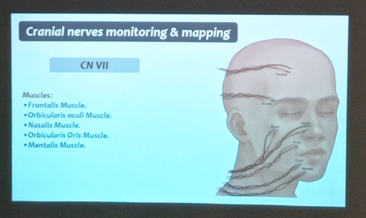  تنظيم يوماً علمياً حول تقنيات مراقبة الأعصاب أثناء الجراحة بطب المنصورة 